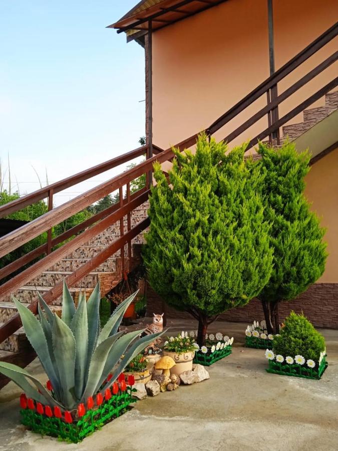 Изабелла Hotel Pitsunda Exterior foto